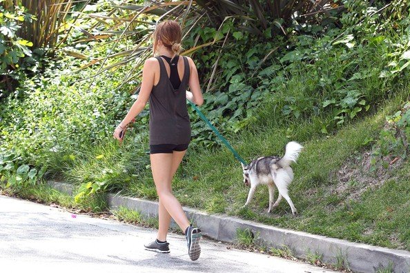 Miley+Cyrus+Miley+Cyrus+Walks+Dog+WT12YivQAuil.jpg