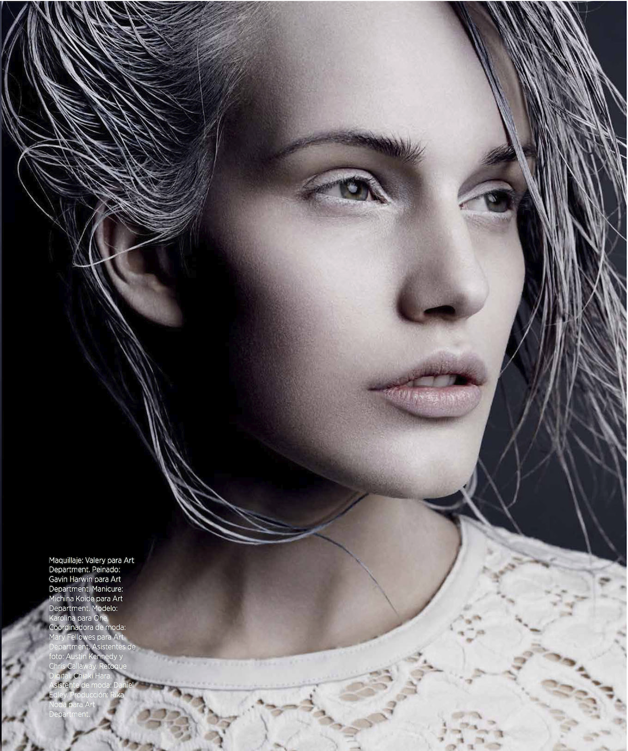 Harper_27s_Bazaar_Mexico_2014_01+%2528dragged%2529+6.png