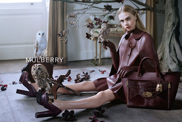 Mulberry-1.jpg