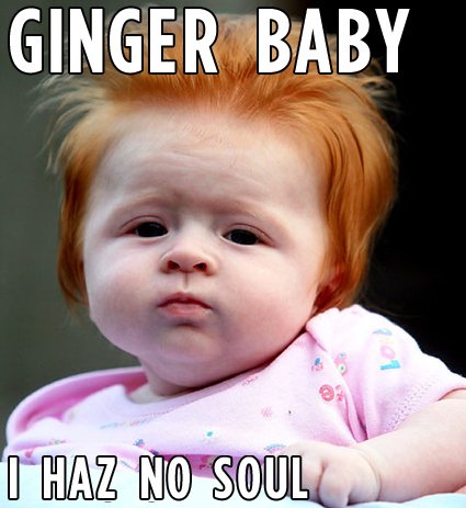 gingers-have-no-soul-its-true-look-at-this-24144-1263856531-85.jpg