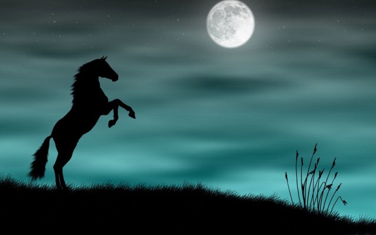 208269-Horse-At-Night.jpg