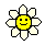Flower :flower: :flower: